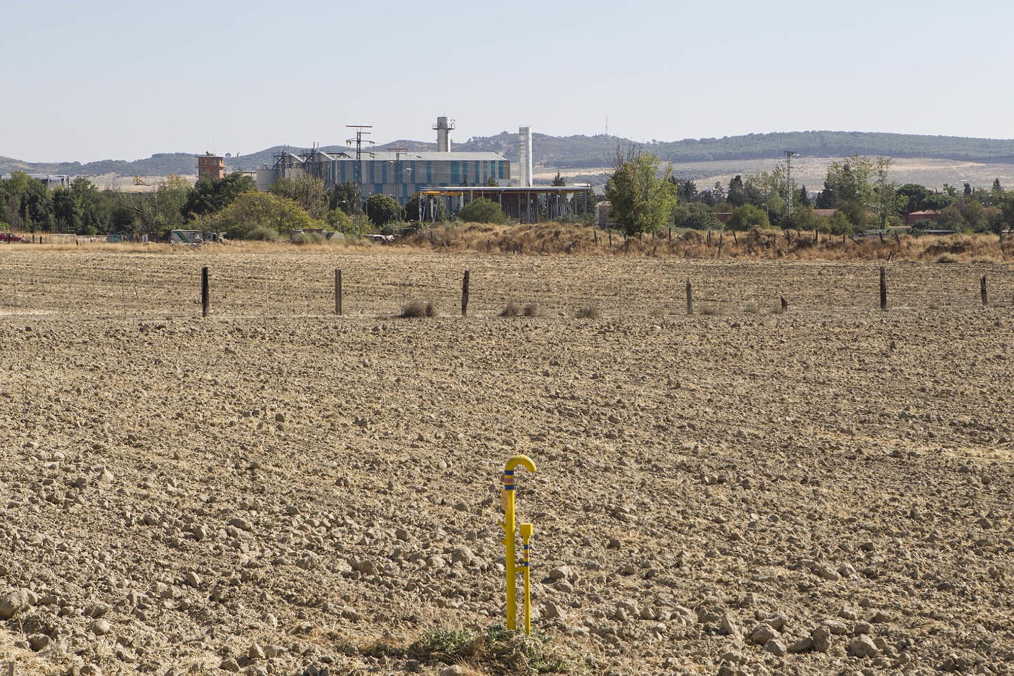 Campos de cultivo junto a Perales del Río. Al fondo, la EDAR Sur.